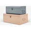 Picture of Daven Set of 2 Metal Storage Box Trunks, Pink & Grey