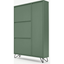 Picture of Elona Shoe Storage, Fern Green & Black