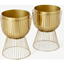 Picture of Carole Set of 2 Planters with Stands, Brass