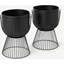 Picture of Carole Set of 2 Planters with Stands, Matte Black