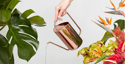 Why were Copper water containers popular in ancient times, how good are copper watering cans for plants ?