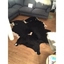 Picture of Cow Hide Black and White  (TW)