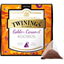 Picture of Discovery Collection Golden Rooibos and Caramel - Pyramid Tea Bags