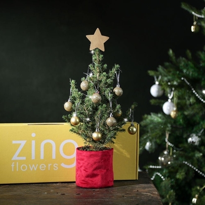 Picture of Zing flowers - LETTERBOX MINI CHRISTMAS TREE