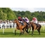 Picture of 2 for 1 Winning Raceday Package – Special Offer