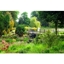 Picture of Spa Day with Afternoon Tea at The Lifehouse Spa and Hotel for Two