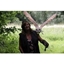 Picture of 2 for 1 Woodland Walk and Owl Flying Experience at Lee Valley Park