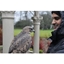 Picture of 3 Hour Birds of Prey Day - Special Offer