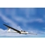 Picture of Gliding Discovery Flight