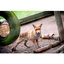 Picture of 2 for 1 Carnivore Combo Experience for Two at Hoo Farm Animal Kingdom
