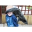 Picture of 2 for 1 Binturong Experience for Two at Hoo Farm Animal Kingdom
