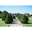 Picture of Afternoon Tea for Two at Littlecote House Hotel