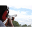 Picture of Clay Pigeon Shooting Experience