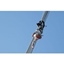 Picture of 300ft Bungee Jump
