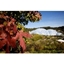 Picture of Adult Entrance for Two to The Eden Project