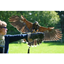 Picture of Birds of Prey Experience in Hampshire
