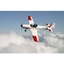 Picture of Aerobatic Flying Experience