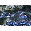 Picture of Adventure River Tubing and Cliff Jumping in Scotland