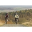 Picture of Mountain Biking for Two at Gorsebank