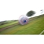 Picture of Aqua Zorbing for Three Special Offer