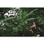 Picture of Junior Tree Top Adventure in London for One Child