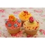 Picture of Cookie Girl Cupcake Decorating Class for Two