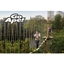 Picture of Tree Top Challenge in London for One at Go Ape