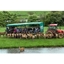 Picture of Family Day on The Farm with a Deer Safari at Snettisham Park