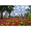 Picture of Family Entrance to The Eden Project
