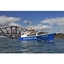 Picture of Forth Boat Tours Family Sightseeing Cruise
