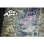 Picture of Zip Trekking Adventure for One at Go Ape