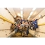 Picture of Weightlessness Zero-G Experience in Russia