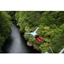 Picture of Bungee Jump for One in Scotland