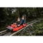 Picture of Zip World Fforest Coaster Shared Sled Ride - Adult and Child