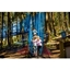 Picture of Treetop Nets Adventure for One Adult