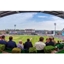 Picture of Kia Oval Cricket Match and Ground Tour with Afternoon Tea for Two