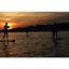 Picture of Stand Up Paddleboarding Experience for One at The New Forest Paddle Sport Company