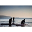 Picture of Four Hour Stand Up Paddleboarding for One at The New Forest Paddle Sport Company