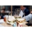 Picture of Beginners Wine Course for One at The Doo Wop Chocolate Cafe Food and Wine School
