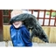 Picture of Half Day Zoo Keeper Experience for Two at Wills Wild Animal Encounters