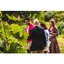 Picture of Vineyard Tour and Wine Tasting for Two at Bolney Wine Estate