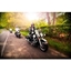 Picture of Harley-Davidson Pillion Ride - Full Day Experience