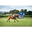 Picture of Polo Day Out with Lunch for One at Taunton Vale Polo Club