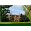 Picture of Q Hotels Spa Day with 50 Minute Treatment and Lunch for Two