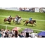 Picture of Classic Day at the Races for Two with Lunch