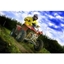 Picture of Rage Buggy and Quad Bike Experience at London Rally School for One