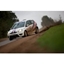 Picture of Rally Driving Thrill - UK Wide