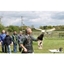Picture of Bird of Prey Falconry Experience