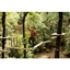 Picture of Zip Trek for Two at Treetop Trek