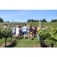Picture of Wine Tasting Tour for Two at English Oak Vineyard
